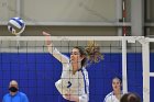 Volleyball vs Babson  Wheaton Women's Volleyball vs Babson College. - Photo by Keith Nordstrom : Wheaton, Volleyball, VB